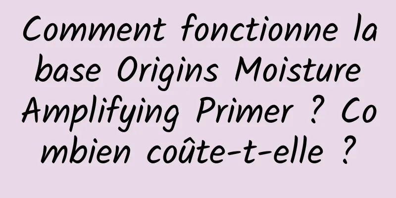 Comment fonctionne la base Origins Moisture Amplifying Primer ? Combien coûte-t-elle ?