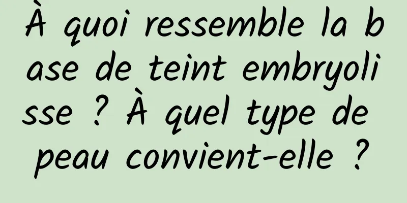 À quoi ressemble la base de teint embryolisse ? À quel type de peau convient-elle ?