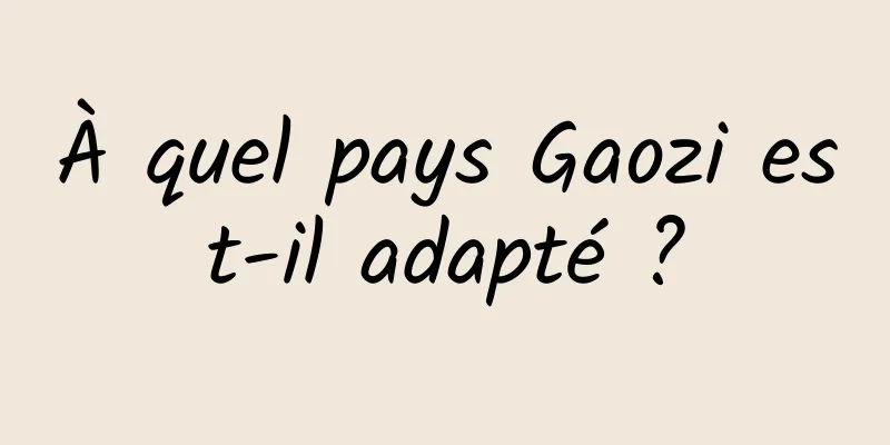 À quel pays Gaozi est-il adapté ?