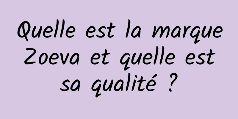Quelle est la marque Zoeva et quelle est sa qualité ?
