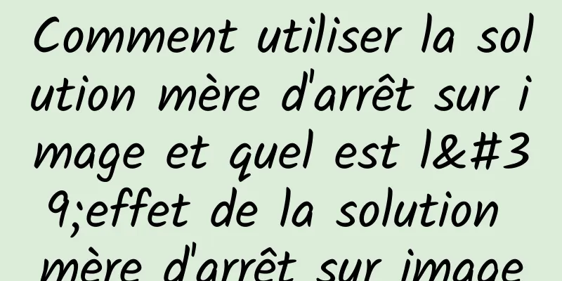 Comment utiliser la solution mère d'arrêt sur image et quel est l'effet de la solution mère d'arrêt sur image