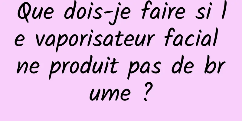 Que dois-je faire si le vaporisateur facial ne produit pas de brume ?