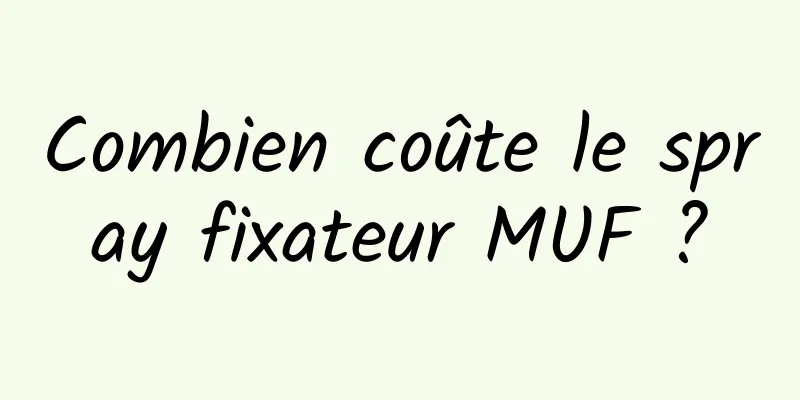 Combien coûte le spray fixateur MUF ?
