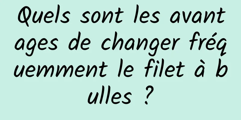 Quels sont les avantages de changer fréquemment le filet à bulles ?