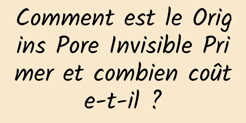 Comment est le Origins Pore Invisible Primer et combien coûte-t-il ?