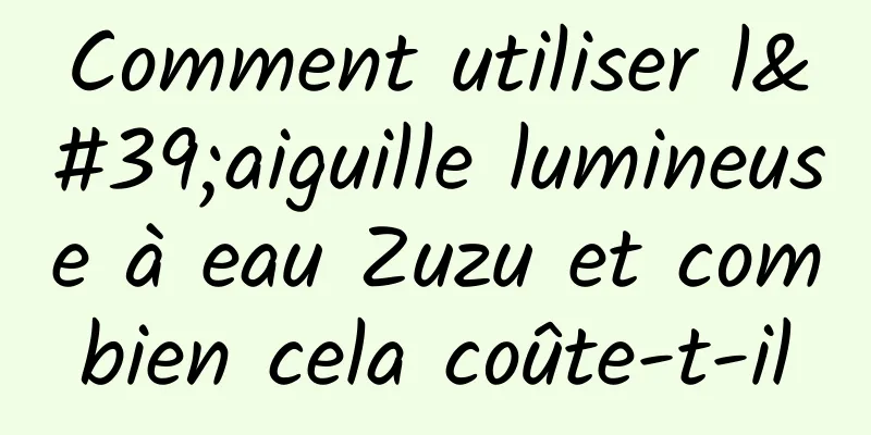 Comment utiliser l'aiguille lumineuse à eau Zuzu et combien cela coûte-t-il