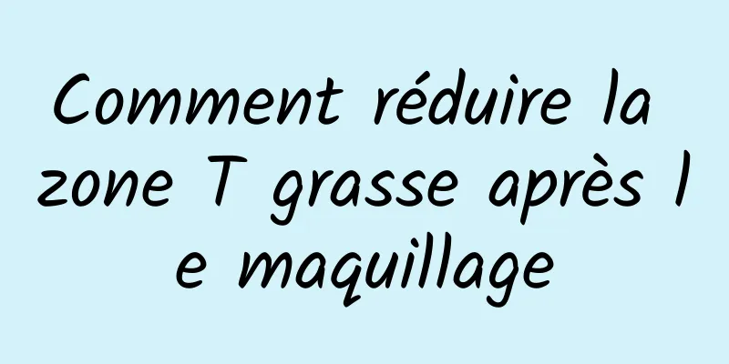 Comment réduire la zone T grasse après le maquillage