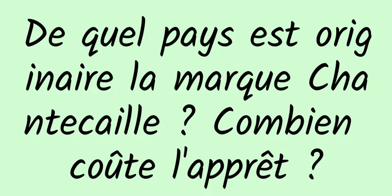 De quel pays est originaire la marque Chantecaille ? Combien coûte l'apprêt ?