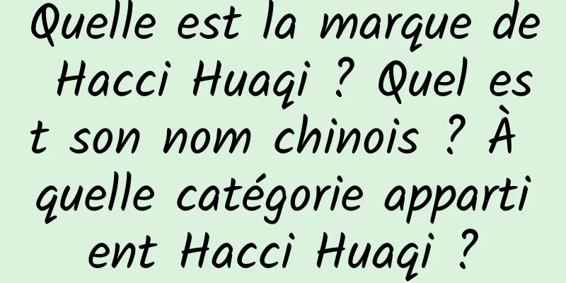 Quelle est la marque de Hacci Huaqi ? Quel est son nom chinois ? À quelle catégorie appartient Hacci Huaqi ?