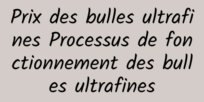 Prix ​​des bulles ultrafines Processus de fonctionnement des bulles ultrafines