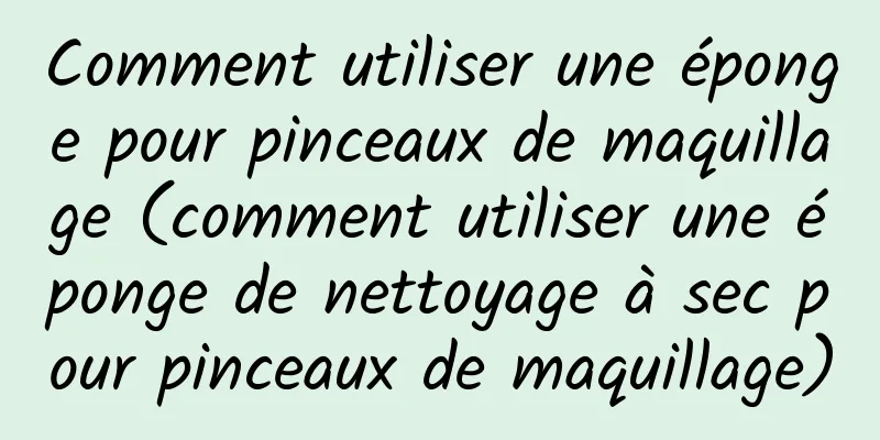 Comment utiliser une éponge pour pinceaux de maquillage (comment utiliser une éponge de nettoyage à sec pour pinceaux de maquillage)