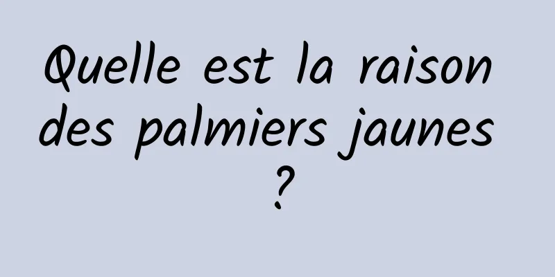 Quelle est la raison des palmiers jaunes ?