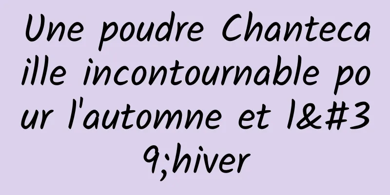 Une poudre Chantecaille incontournable pour l'automne et l'hiver