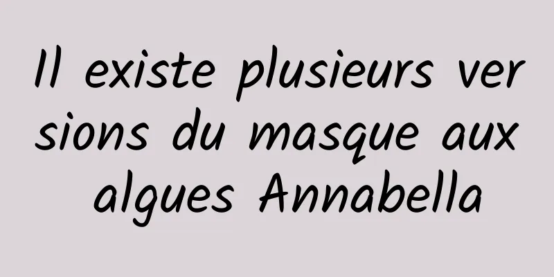 Il existe plusieurs versions du masque aux algues Annabella