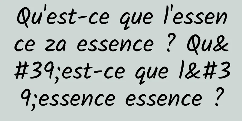 Qu'est-ce que l'essence za essence ? Qu'est-ce que l'essence essence ?
