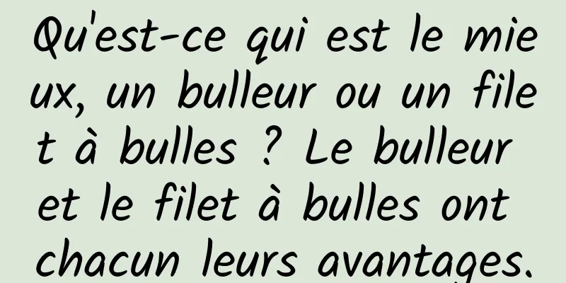 Qu'est-ce qui est le mieux, un bulleur ou un filet à bulles ? Le bulleur et le filet à bulles ont chacun leurs avantages.