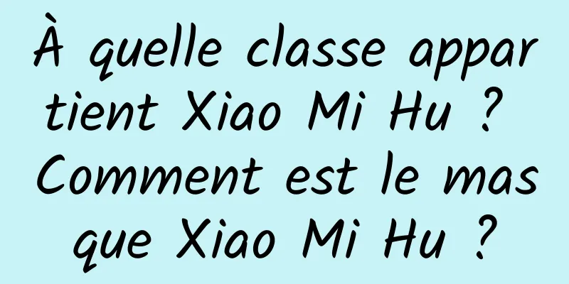 À quelle classe appartient Xiao Mi Hu ? Comment est le masque Xiao Mi Hu ?