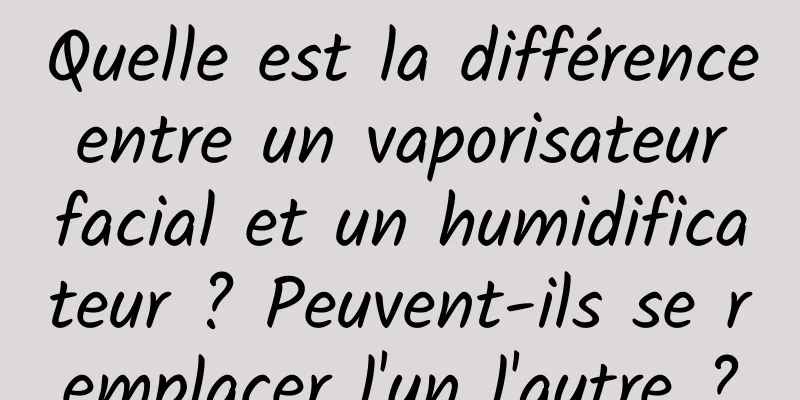 Quelle est la différence entre un vaporisateur facial et un humidificateur ? Peuvent-ils se remplacer l'un l'autre ?