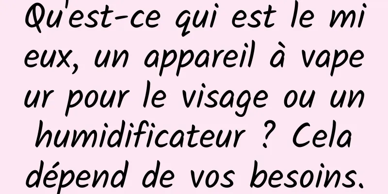 Qu'est-ce qui est le mieux, un appareil à vapeur pour le visage ou un humidificateur ? Cela dépend de vos besoins.