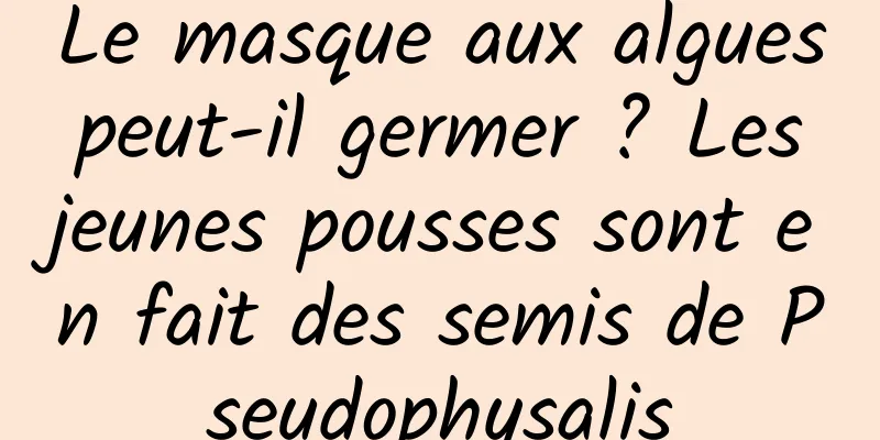Le masque aux algues peut-il germer ? Les jeunes pousses sont en fait des semis de Pseudophysalis