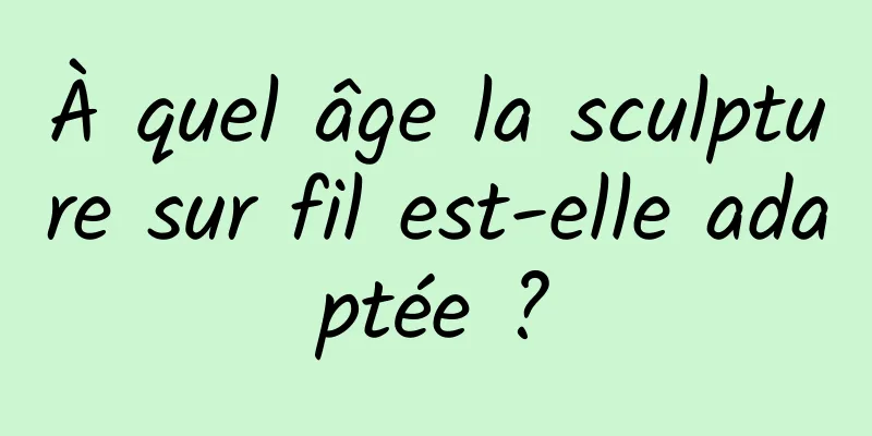 À quel âge la sculpture sur fil est-elle adaptée ?