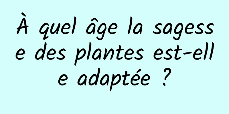 À quel âge la sagesse des plantes est-elle adaptée ?