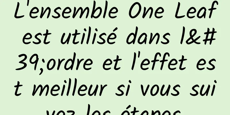 L'ensemble One Leaf est utilisé dans l'ordre et l'effet est meilleur si vous suivez les étapes.