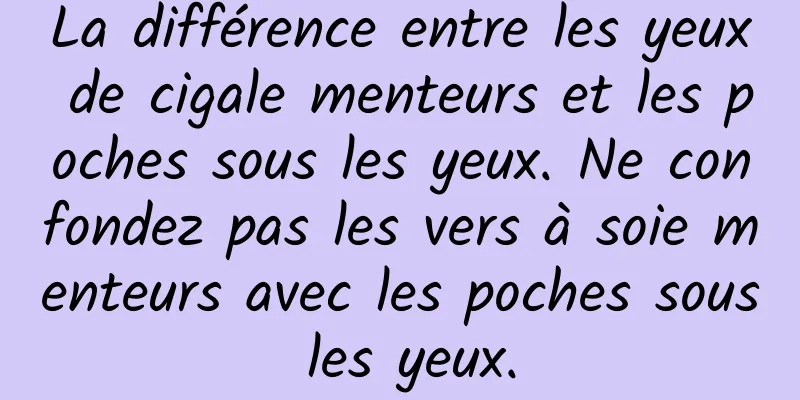 La différence entre les yeux de cigale menteurs et les poches sous les yeux. Ne confondez pas les vers à soie menteurs avec les poches sous les yeux.