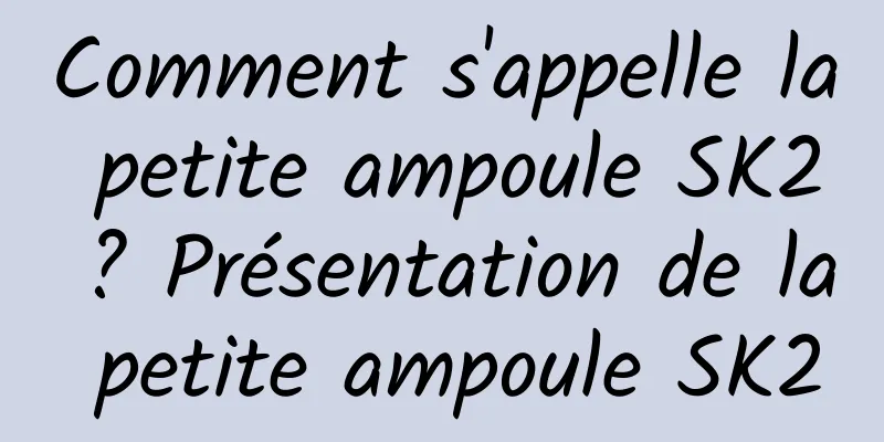 Comment s'appelle la petite ampoule SK2 ? Présentation de la petite ampoule SK2