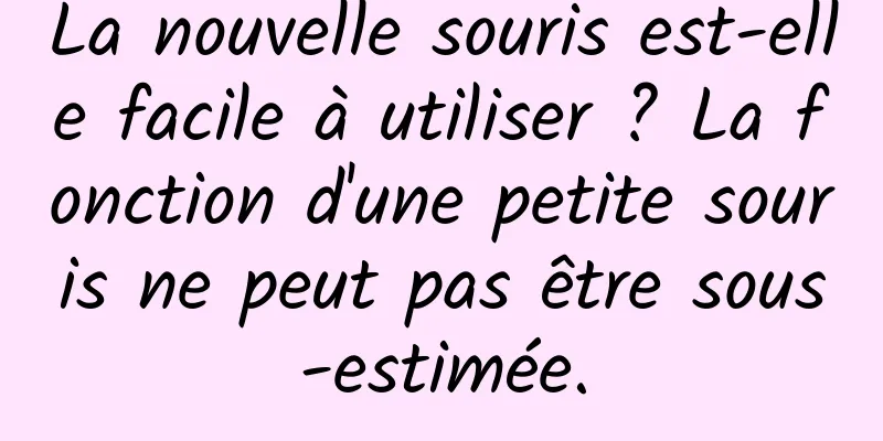 La nouvelle souris est-elle facile à utiliser ? La fonction d'une petite souris ne peut pas être sous-estimée.