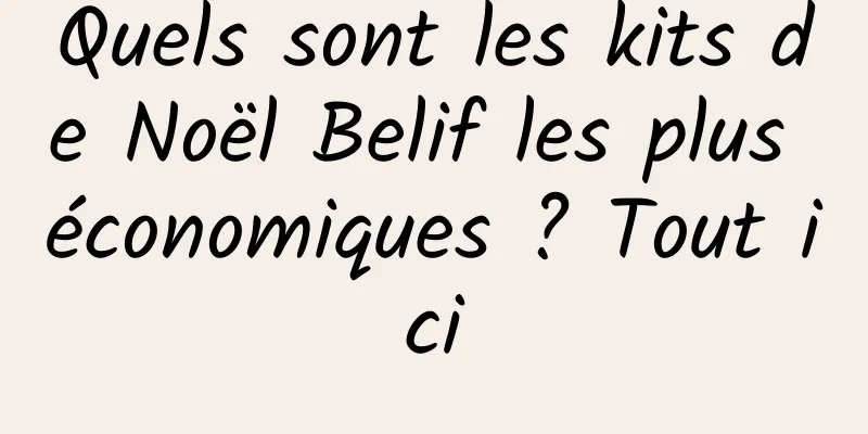 Quels sont les kits de Noël Belif les plus économiques ? Tout ici
