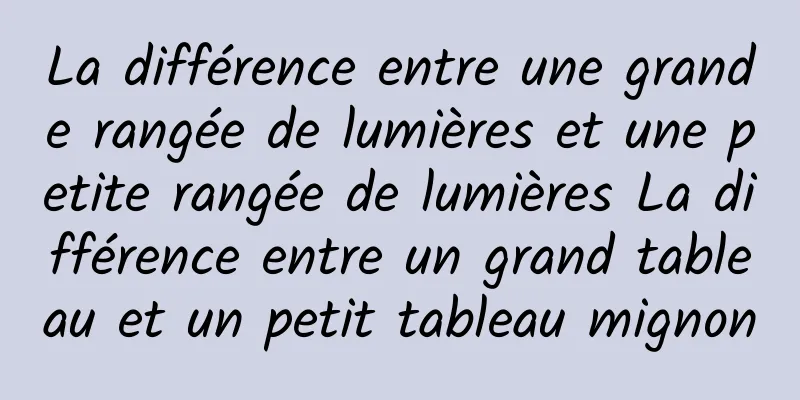 La différence entre une grande rangée de lumières et une petite rangée de lumières La différence entre un grand tableau et un petit tableau mignon