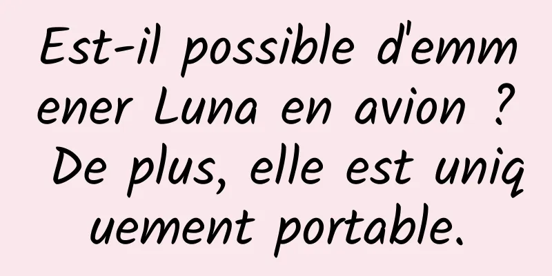 Est-il possible d'emmener Luna en avion ? De plus, elle est uniquement portable.