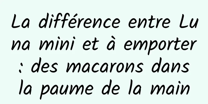La différence entre Luna mini et à emporter : des macarons dans la paume de la main